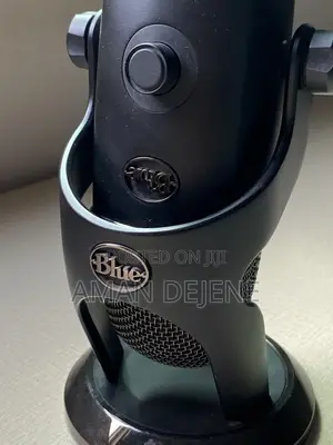Podcast Mic/ Steamer Mic _Blue Yeti X