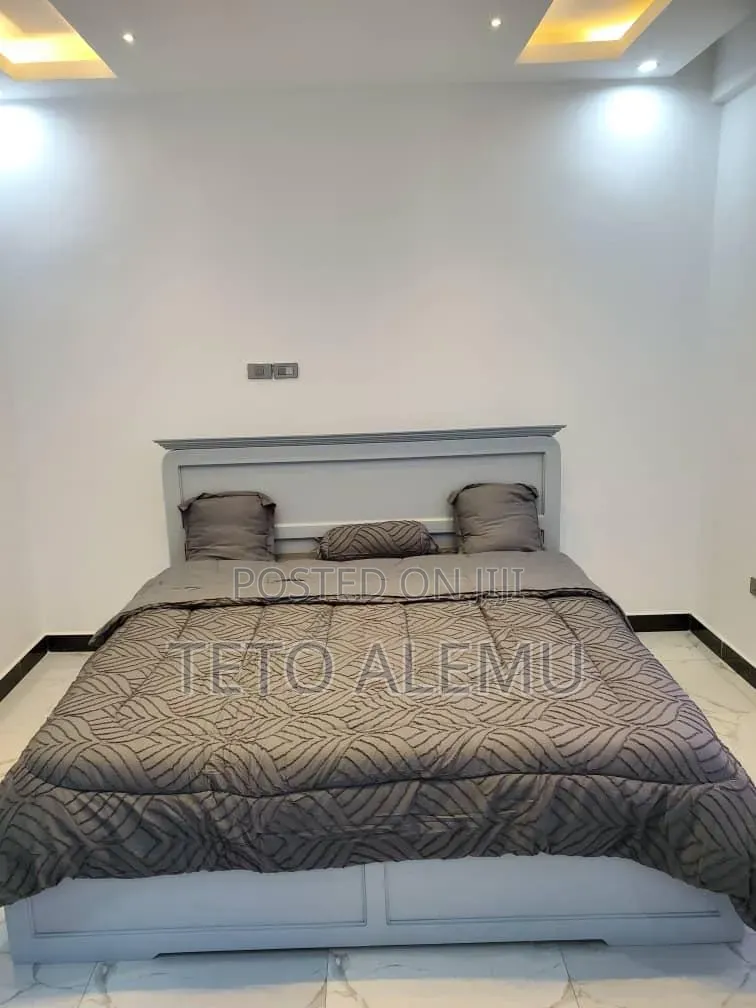 Furnished 2bdrm Apartment in 🏡 Fully Furnished, Bole for rent