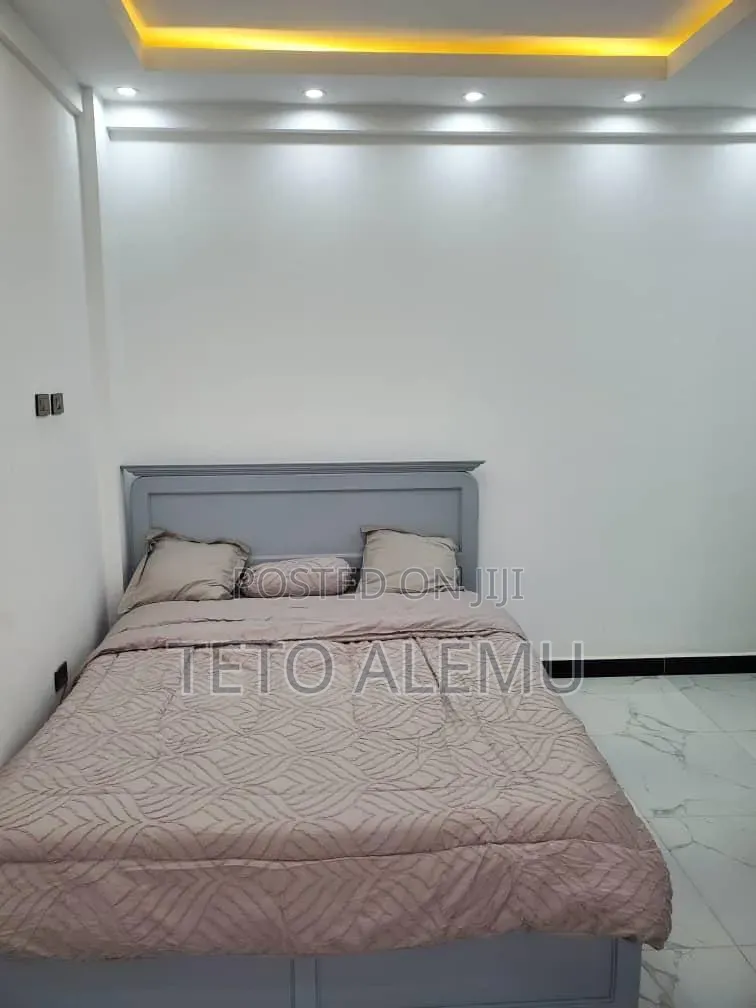 Furnished 2bdrm Apartment in 🏡 Fully Furnished, Bole for rent