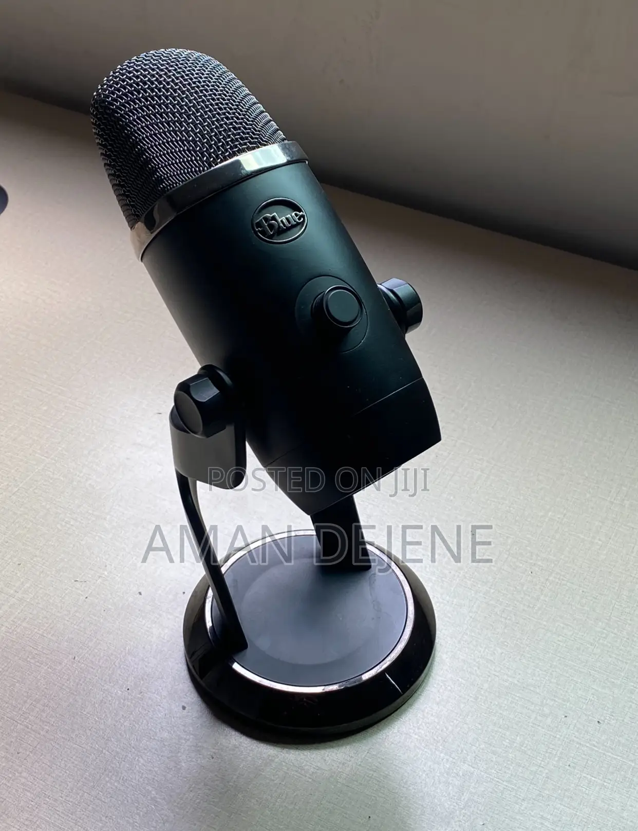 Podcast Mic/ Steamer Mic _Blue Yeti X