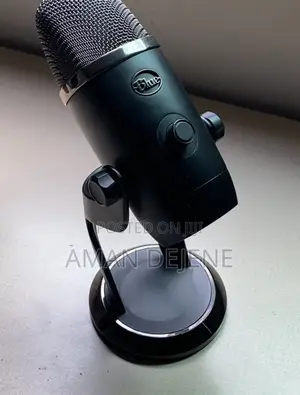 Podcast Mic/ Steamer Mic _Blue Yeti X