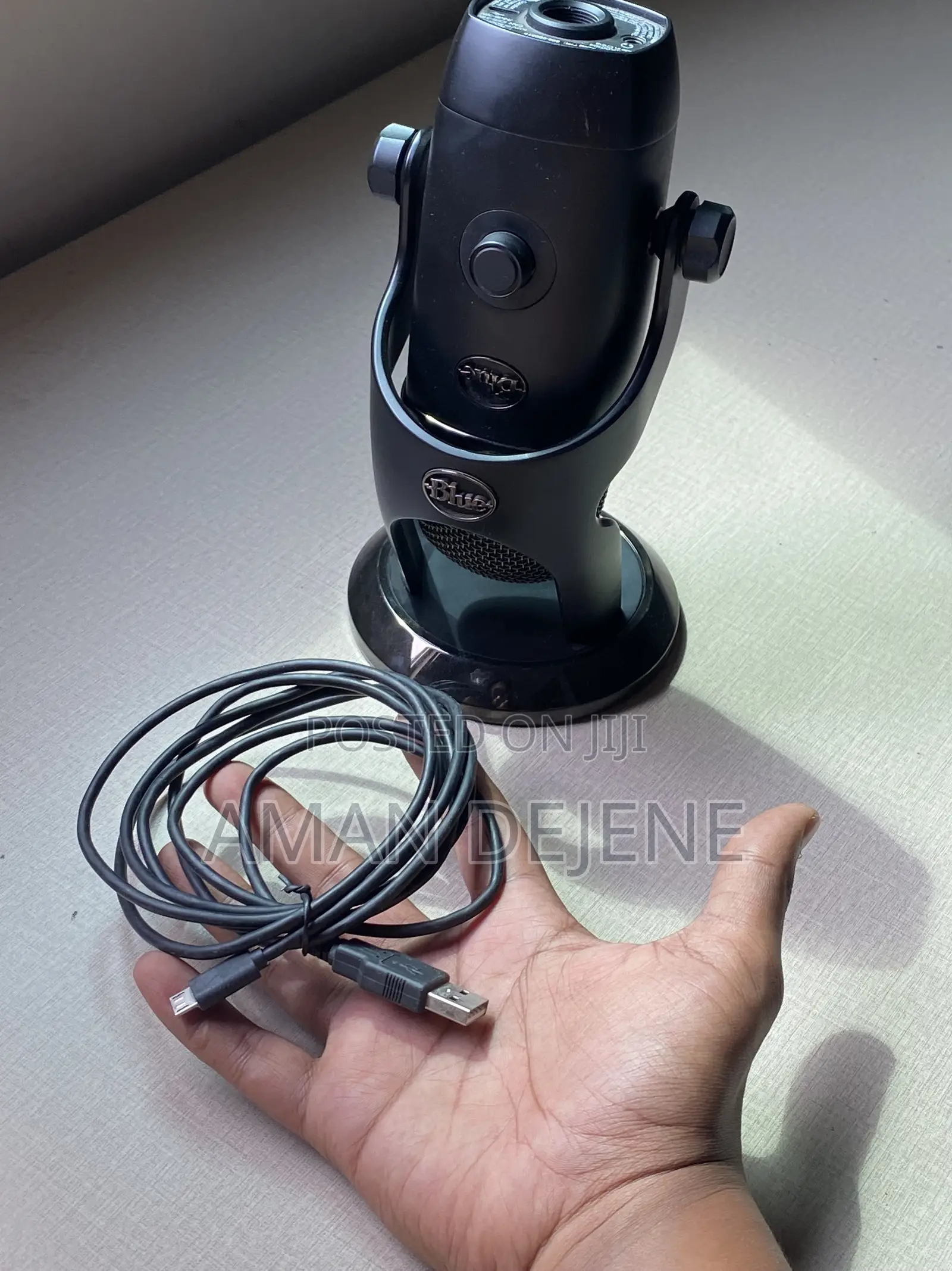Podcast Mic/ Steamer Mic _Blue Yeti X