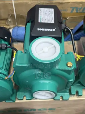 Surface Water Pump