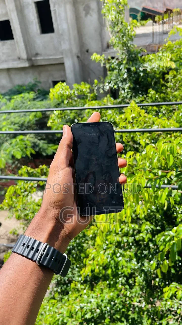 Apple iPhone 12 Pro Max 256 GB