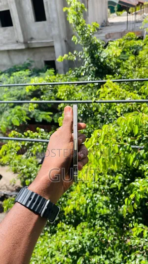 Apple iPhone 12 Pro Max 256 GB