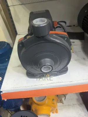 Surface Water Pump