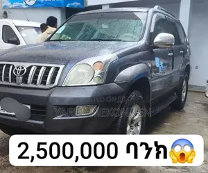 Toyota Land Cruiser 2006 Gray