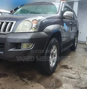 Toyota Land Cruiser 2006 Gray