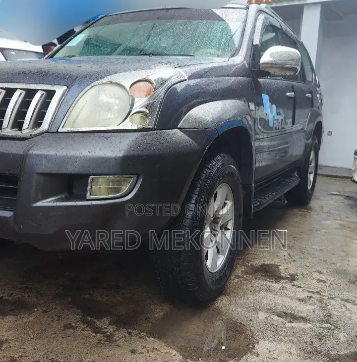 Toyota Land Cruiser 2006 Gray