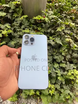 Apple iPhone 13 Pro Max 256 GB Silver