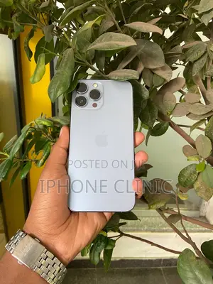 Apple iPhone 13 Pro Max 256 GB Silver