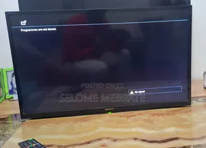 Sony 32 Inch TV