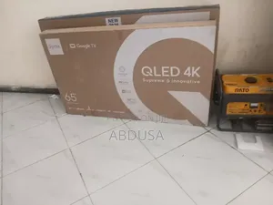 TV Smart 65 Inc