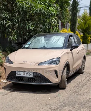 Hozon Neta Aya 2024 Beige