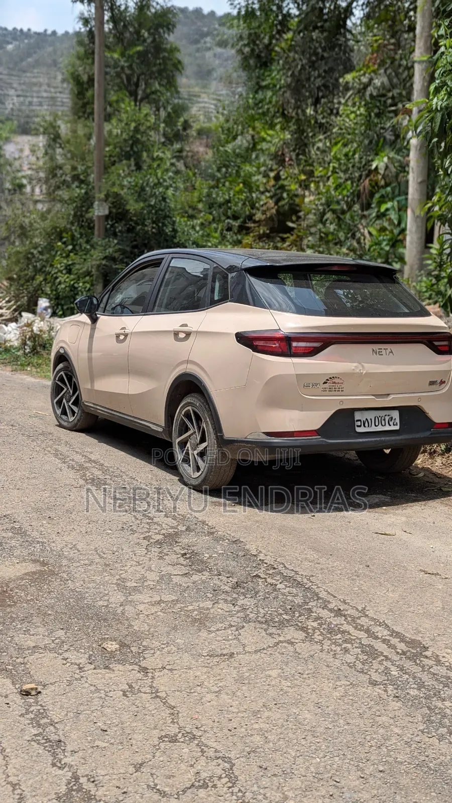 Hozon Neta Aya 2024 Beige