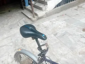 Bicycle if You Wanted Call