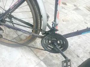 Bicycle if You Wanted Call