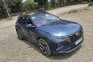 Hyundai Tucson 2022 Blue