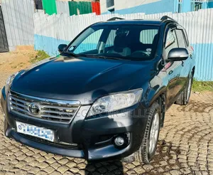 Toyota RAV4 2010 Blue