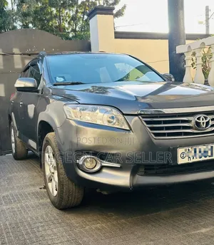 Toyota RAV4 2010 Blue