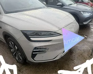 New BYD Song Plus 2025 Gray