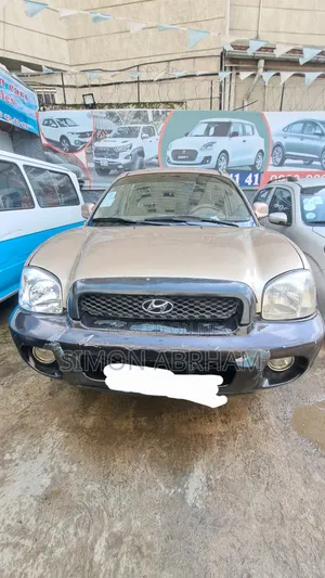 Hyundai Santa Fe 3.5 2003 Brown