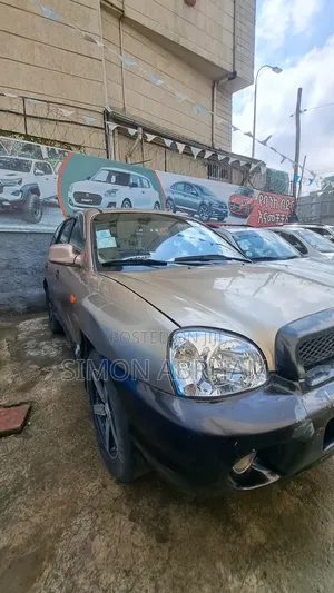 Hyundai Santa Fe 3.5 2003 Brown