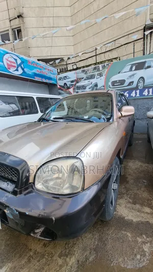 Hyundai Santa Fe 3.5 2003 Brown