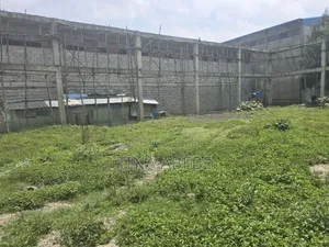 አስቸካይ የሚሸጥ ጅምር መጋዘን