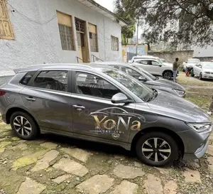 New BYD E2 43 kWh 94 hp FWD 2025 Silver