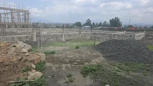 አስቸካይ የሚሸጥ መሰረት