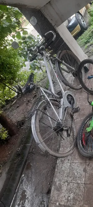 Bicycles Or