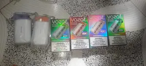 Disposable Vozol Vapes