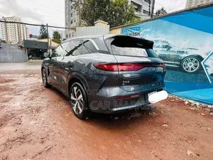 BYD Tang EV 2025 Gray