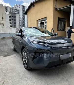 BYD Tang EV 2025 Gray