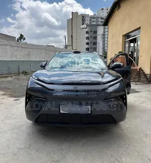 BYD Tang EV 2025 Gray