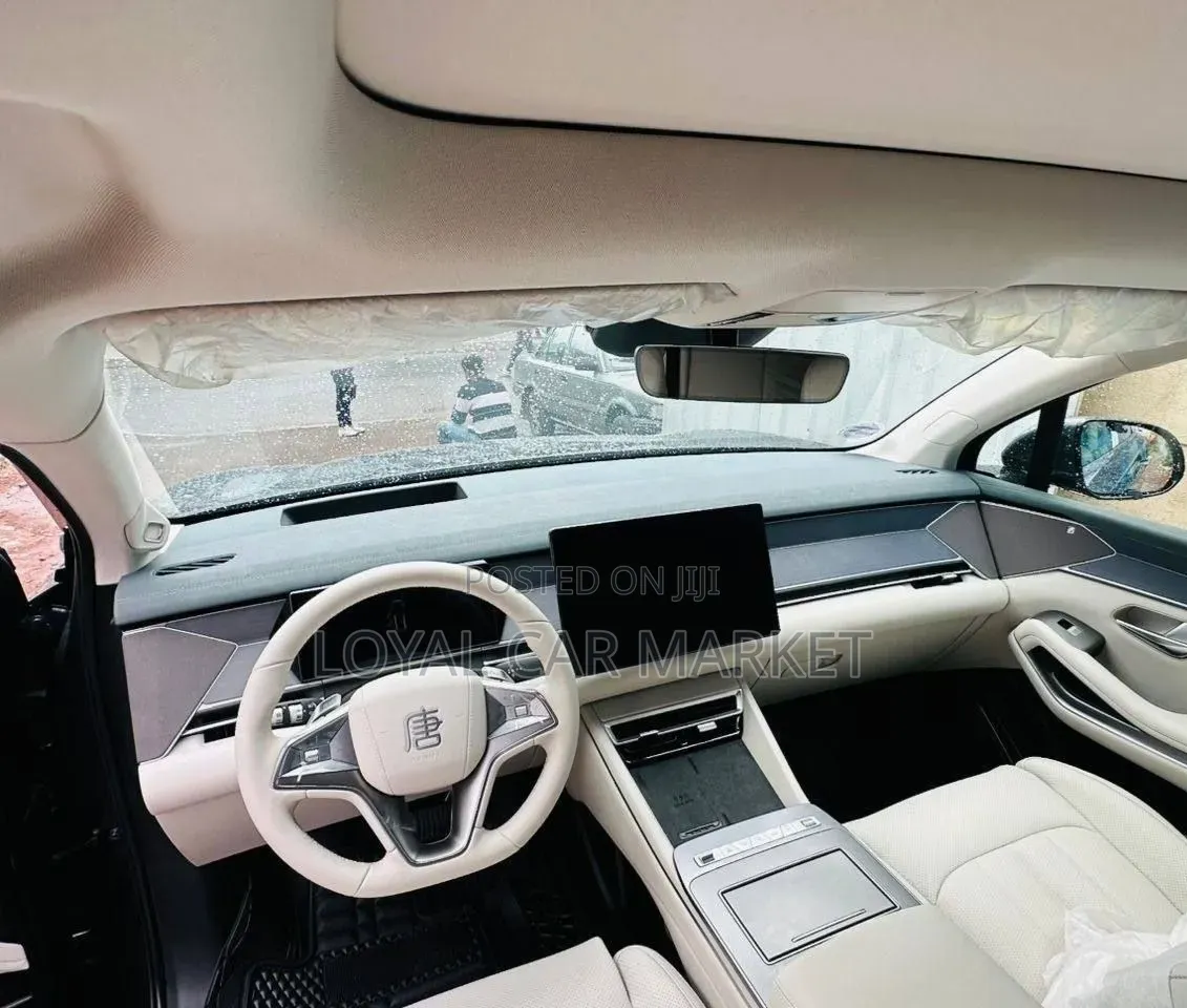 BYD Tang EV 2025 Gray