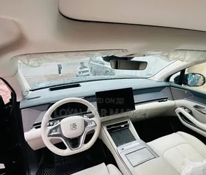 BYD Tang EV 2025 Gray