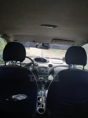 Toyota Vitz 2002 Gray