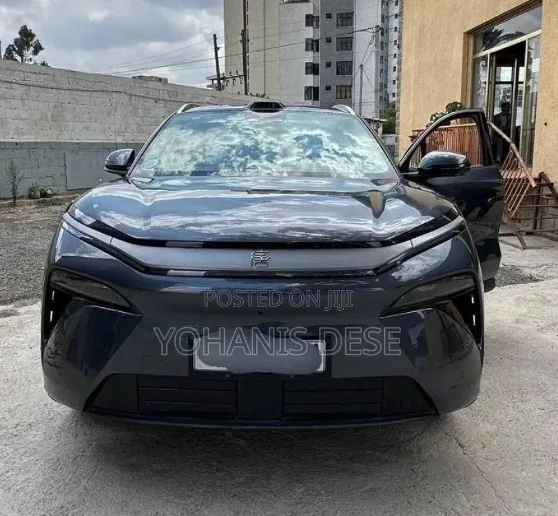 BYD Tang DM-i 2025 Blue