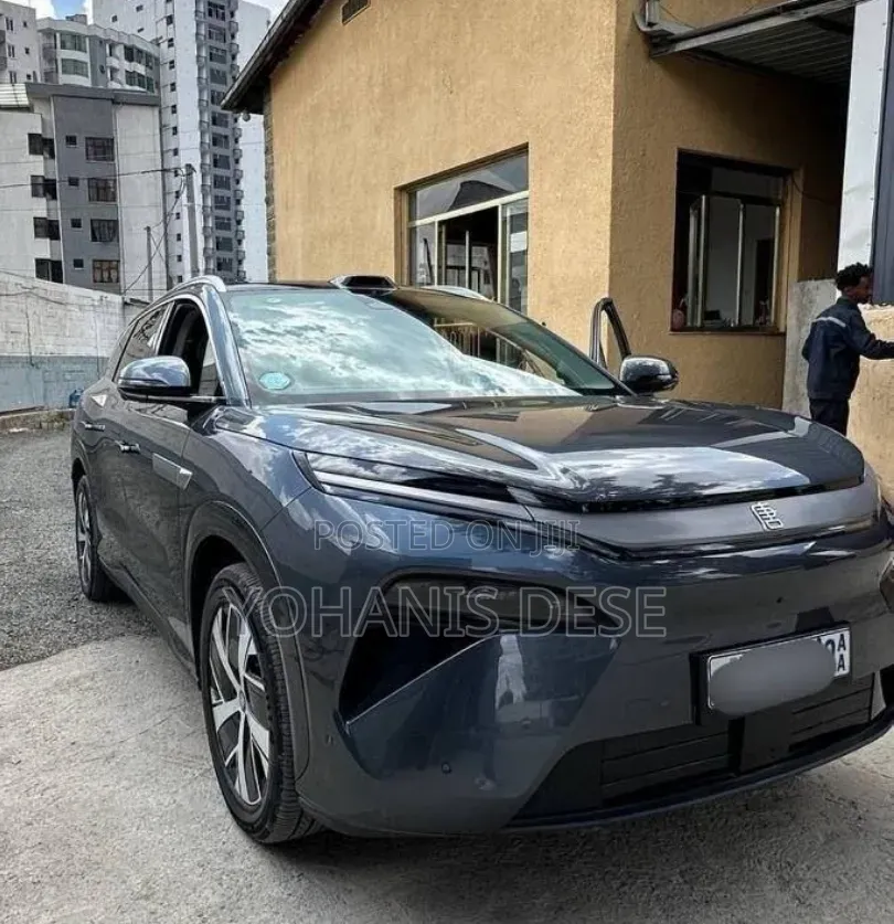 BYD Tang DM-i 2025 Blue