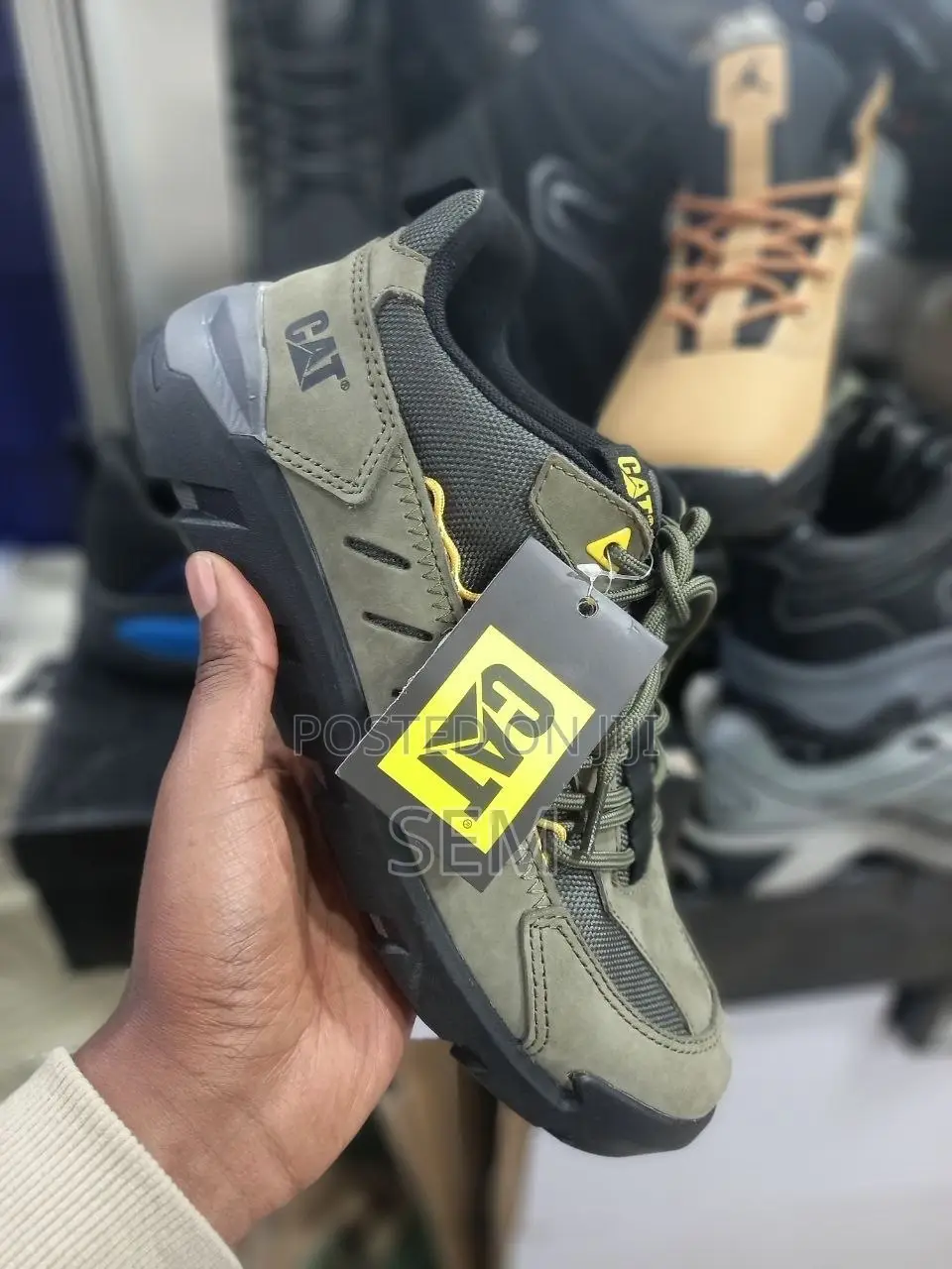 Caterpillars