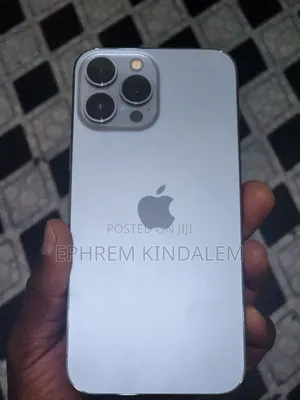 Apple iPhone 13 Pro Max 256 GB Silver