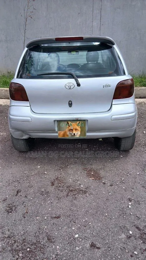 Toyota Vitz 2002 Silver