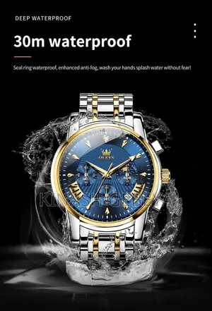 Olevs Top Quality Mens Watch