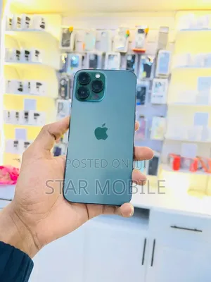 Apple iPhone 13 Pro Max 256 GB Gray
