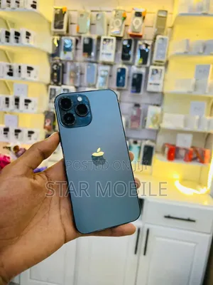 Apple iPhone 13 Pro Max 256 GB Gray