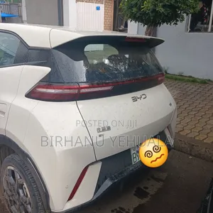 BYD Seagull 2025 White