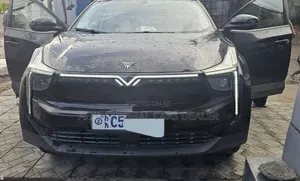 Hozon Neta Aya 2023 Black