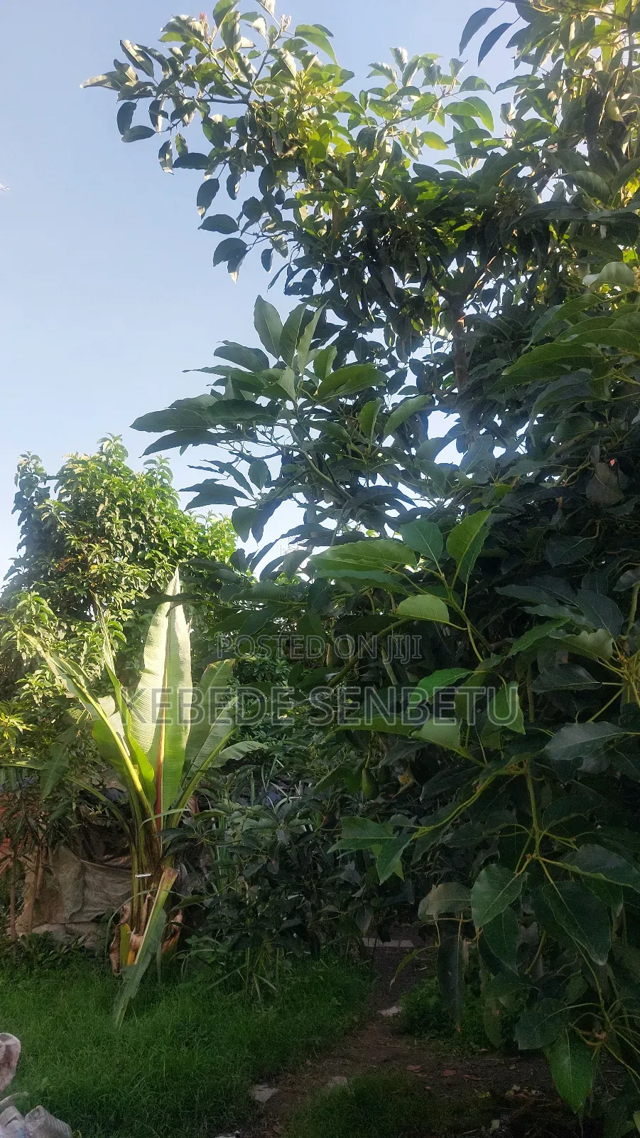 4bdrm House in Oromia, East Shewa for sale